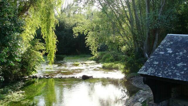 La Conie, rivière sauvage